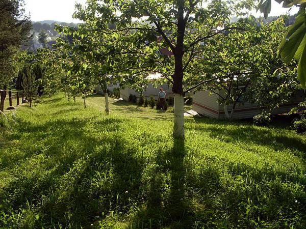 Villa Czeresniowy Sad Wisełka Esterno foto